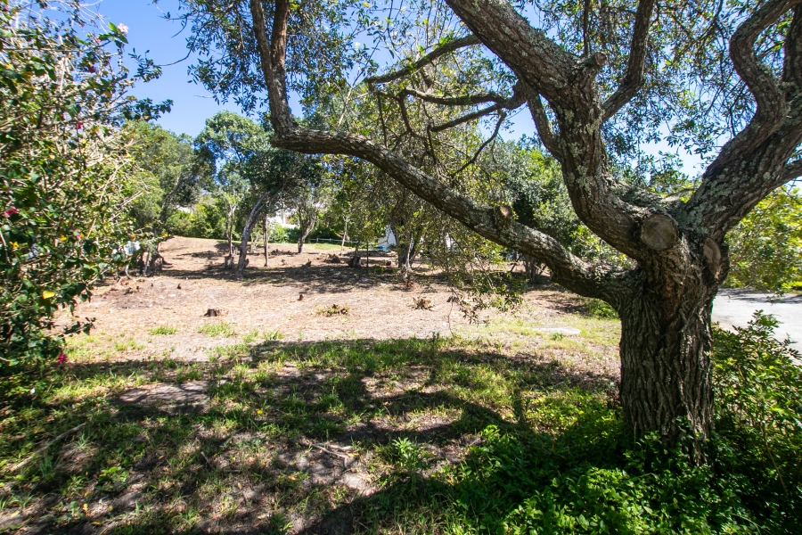 0 Bedroom Property for Sale in Belvidere Estate Western Cape